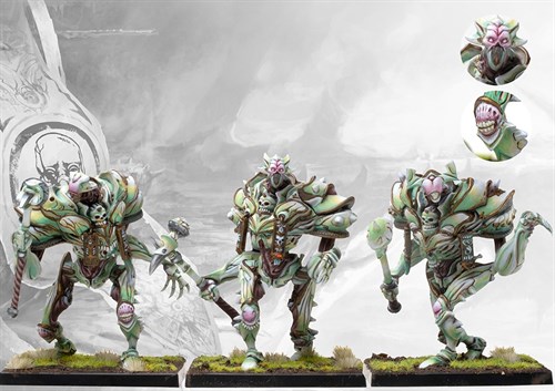 Conquest Spires: Incarnate Sentinel (plastic) PBW1124 - фото 185713