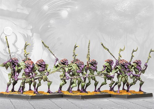 Conquest Weaver Courts: Morrowen (formerly known as Myrmidon) PBWC103