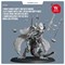 Модель Wayseer Dragonrider of Starborn Exiles Aw-315 - фото 138413