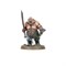 Vanguard Ogor Mawtribes Age of Sigmar 70-13 - фото 146944