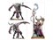 Vanguard Hedonites of Slaanesh Warhammer Age of Sigmar 70-18