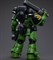 Фигура подвижная JoyToy Salamanders Intercessors Brother Haecule 1/18 Warhammer 40000 6973130375222 - фото 158186