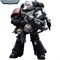 Фигура подвижная JoyToy Raven Guard Intercessors Sergeant Rychas Warhammer 40000 6973130374577 - фото 159396