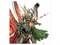 Sylvaneth: The Blades Of Belthanos Warhammer Age Of Sigmar 92-30