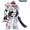 Фигура подвижная JoyToy White Scars Assault lntercessor Sergeant Tsendbaatar Warhammer 40000 6973130373815 - фото 164959
