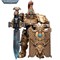 Фигура подвижная JoyToy Adeptus Custodes Custodian Guard with Sentinel Blade and Praesidium Shield Warhammer 40000 6973130377813 - фото 164967