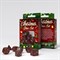 Christmas Dice Set SXMS05