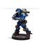 Torchlight Brigade - Exclusive Bundle bundle012