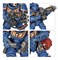 Primaris Intercessors Warhammer 40000 48-75 - фото 177398