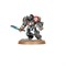 Grey Knights Brotherhood Terminator/Paladins Squad Warhammer 40000 57-09 - фото 177581