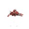 Aeldari Windriders Warhammer 40000 46-06old