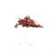 Aeldari Windriders Warhammer 40000 46-06old