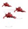Aeldari Windriders Warhammer 40000 46-06old