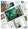 Battletome: Seraphon (hb) (English) Age of Sigmar 88-01