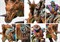Conquest W’adrhun: Thunder Riders PBW9012 - фото 185196