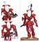 Combat Patrol Aeldari (2025) Warhammer 40000 73-462