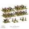 Hail Caesar Starter Set – Caesar´s Gallic Wars (English) 101510003