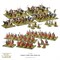 Hail Caesar Starter Set – Caesar´s Gallic Wars (English) 101510003
