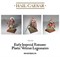 Hail Caesar Imperial Roman Veterans 102011001