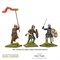 Hail Caesar Saxon Thegns 102013002