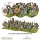 Hail Caesar Viking Hirdmen 102013101