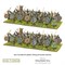 Hail Caesar Viking Starter Army 109913103