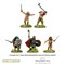 Hail Caesar Viking Starter Army 109913103
