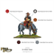 Sir William Waller 205003006
