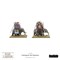 Hail Caesar Epic Battles: Carthaginian War Elephants 112010006