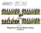 Black Powder Napoleonic Russian Starter Army WGN-04