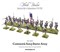 Black Powder Continental Army Starter Set WGR-ARMY2