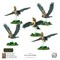 Mythic Americas Condor Riders 722212002