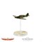 Blood Red Skies: Polish Ace Pilot - Witold Urbanowicz 772012007
