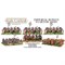 Hail Caesar Imperial Roman Starter Army WGA-IR-1