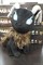Vagrantsong: DC Plush Standing Malifaux WYR11605 - фото 193771