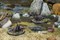 Fallout: Wasteland Warfare - Creatures: Mirelurk Hunters MUH052006
