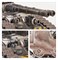 L/a: Fellblade Super-heavy Battle Tank Warhammer Horus Heresy 31-142