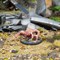 Fallout: Miniatures - Cryptids - Snallygasters MUH01620118