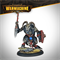 Warmachine: Khador Old Umbrey Battlegroup Box SFIK-KDR210 - фото 197098