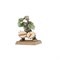 Набор миниатюр Games Workshop Warhammer The Old World Orc & Goblin Tribes Battalion, 09-05 09-05
