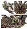 Gloomspite Gitz Doom Diver Catapult Warhammer Age of Sigmar 89-90