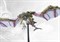 Conquest Spires: Pteraphon PBW1130 - фото 198712