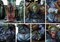 Миниатюра Para Bellum Conquest Old Dominion Theokrator, PBOD403 PBOD403