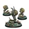 Essentials Combined Army Support Pack (COMBINED ARMY) 281646-1212