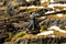 Набор миниатюр Steamforged Games Warmachine Dusk Final Hunt, SFIK-DSK369 SFIK-DSK369