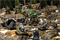 Набор миниатюр Steamforged Games Warmachine Dusk Final Hunt, SFIK-DSK369 SFIK-DSK369
