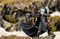 Набор миниатюр Steamforged Games Warmachine Dusk Final Hunt, SFIK-DSK369 SFIK-DSK369