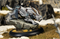 Набор миниатюр Steamforged Games Warmachine Dusk Final Hunt, SFIK-DSK369 SFIK-DSK369