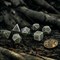 Набор кубиков для DnD и RPG Q Workshop The Witcher Leshen The Totem Builder, Леший, SWLE02 SWLE02