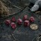 Набор кубиков для DnD и RPG Q Workshop The Witcher Crones Whispess, Ведьмак Шептуха, SWCR03 SWCR03